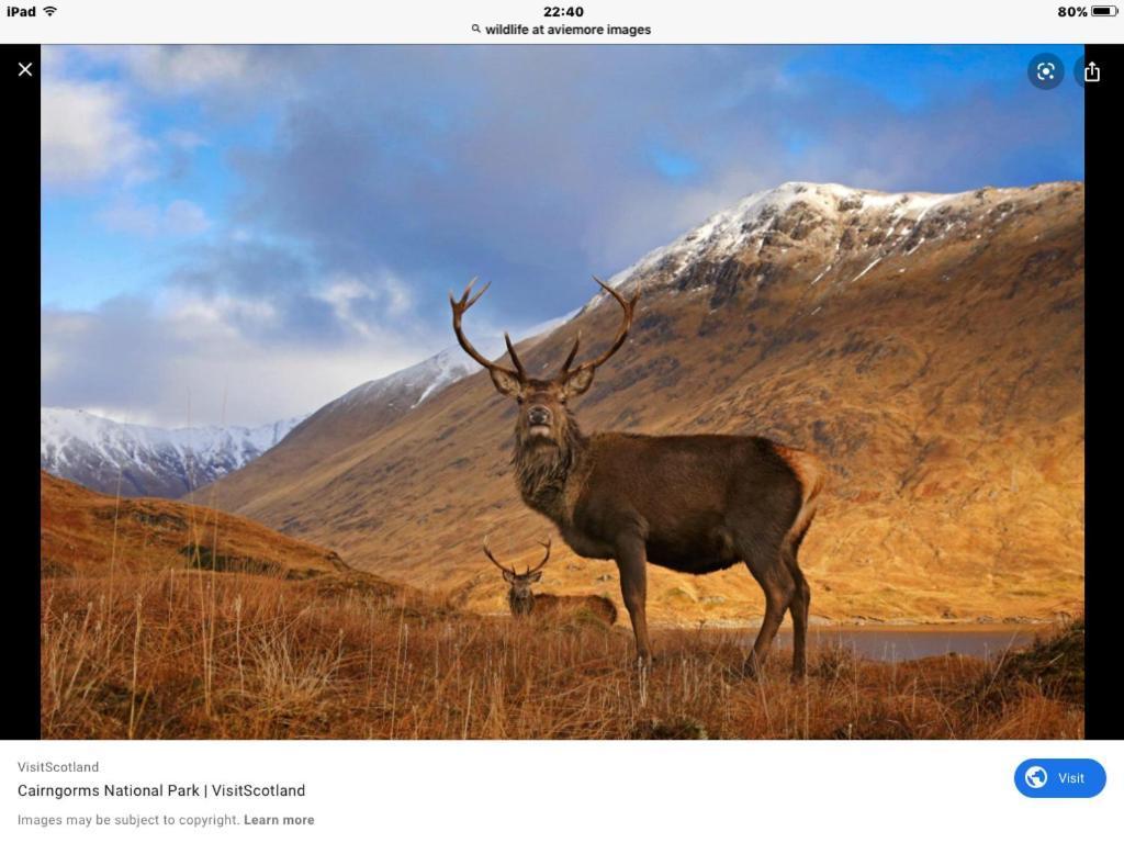 Cairn View Chalet Villa Aviemore Esterno foto