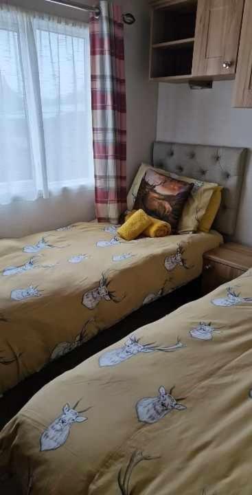 Cairn View Chalet Villa Aviemore Esterno foto